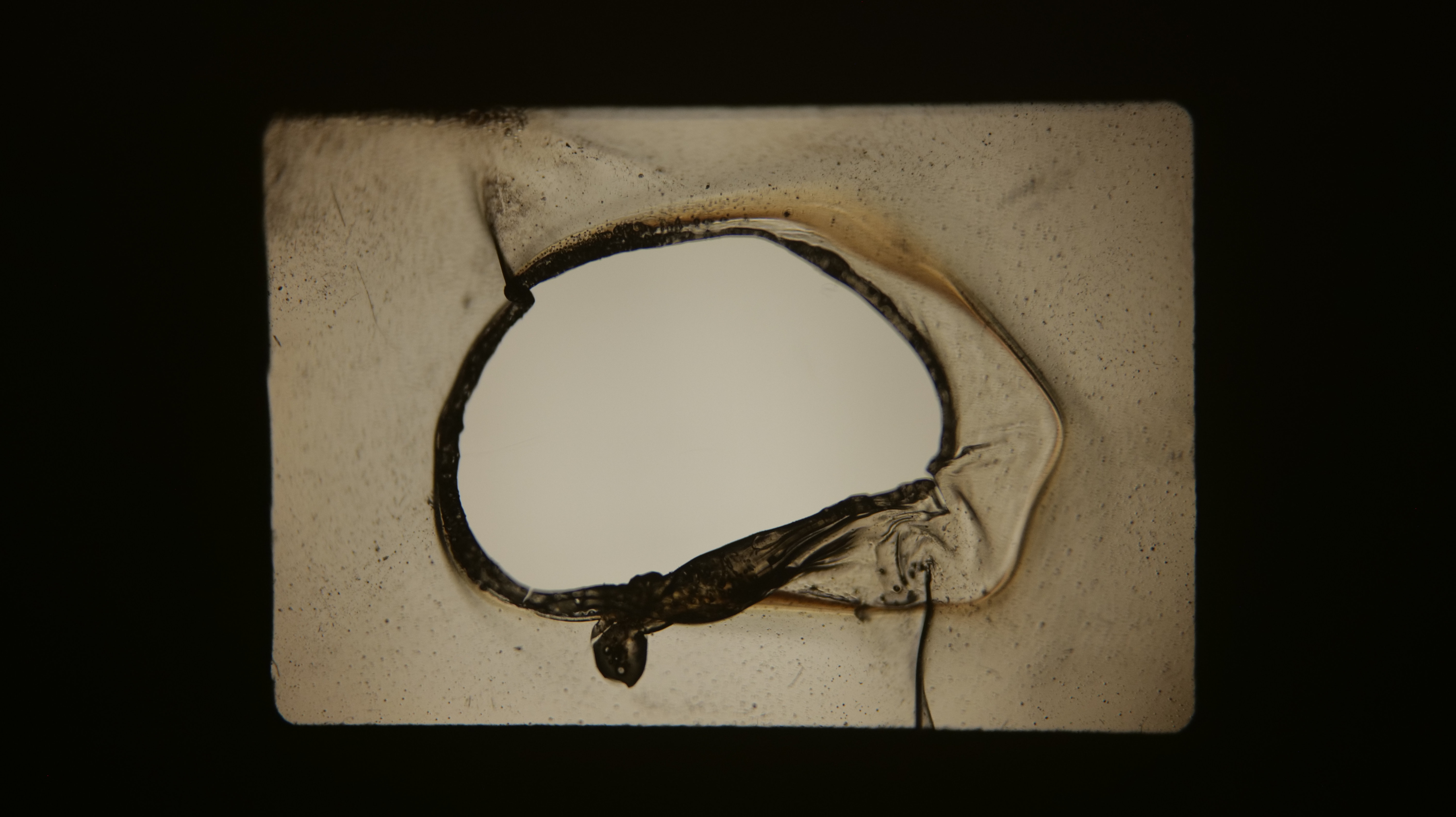 The Eye in the Image Is Blind photo 1